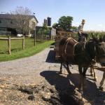 OTRA_2017_CN_0103 (August 24, 2017)